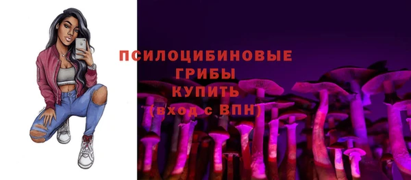 мескалин Арсеньев