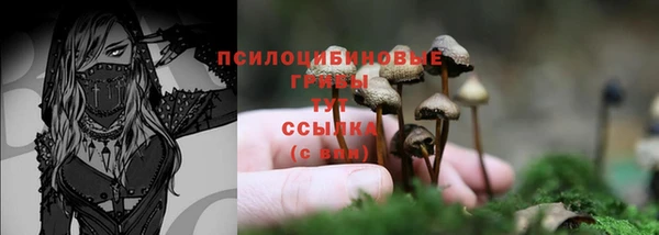 дурь Армянск