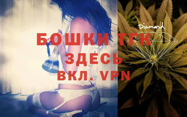 сатива Аркадак