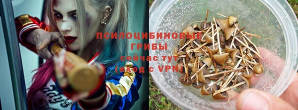 дурь Армянск