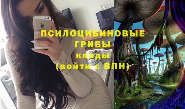 сатива Аркадак