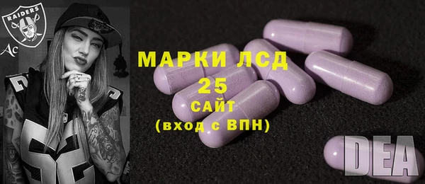 сатива Аркадак